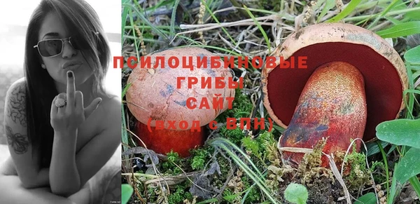 МДПВ Армянск