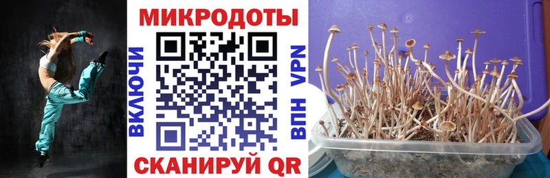 Галлюциногенные грибы GOLDEN TEACHER  дарнет шоп  Валдай 